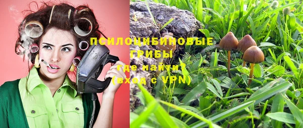 амф Грязи