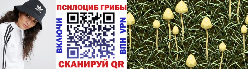 Псилоцибиновые грибы мухоморы  дарнет шоп  Гаврилов-Ям 